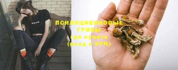 прущие грибы Алексин