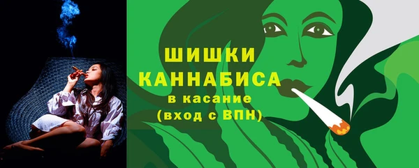 хмурый Пересвет