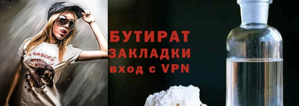 хмурый Пересвет