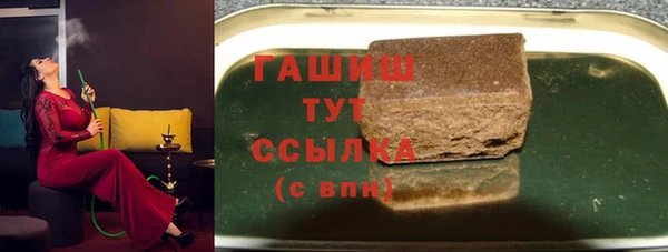 индика Алзамай