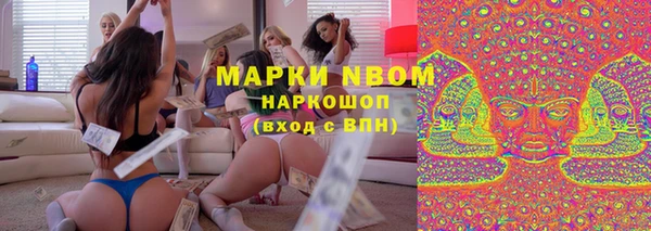 прущие грибы Алексин