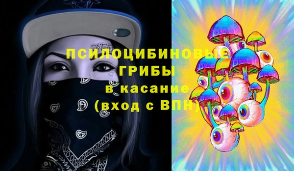 прущие грибы Алексин