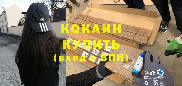 индика Алзамай