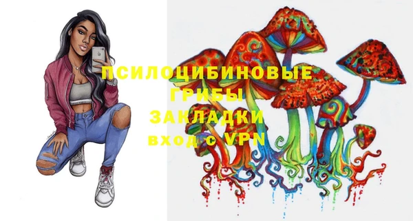 индика Алзамай