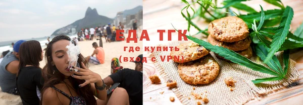 индика Алзамай