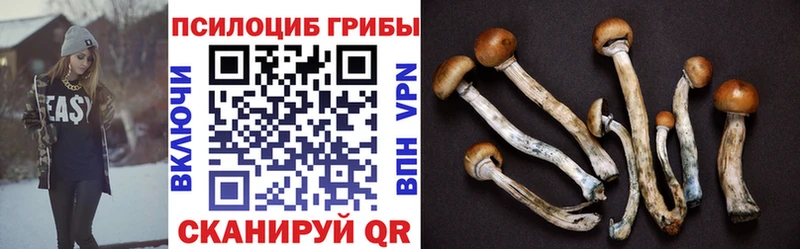 дарк нет как зайти  Ачинск  Псилоцибиновые грибы MAGIC MUSHROOMS  как найти наркотики 