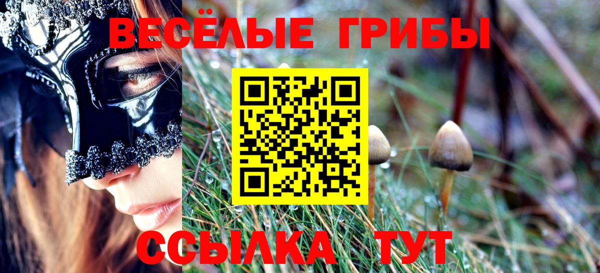 Галлюциногенные грибы MAGIC MUSHROOMS Ачинск