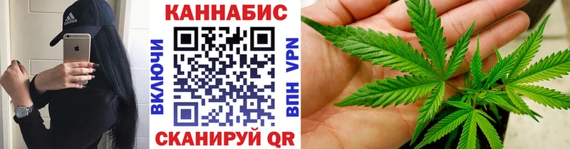 Бошки марихуана конопля Ачинск